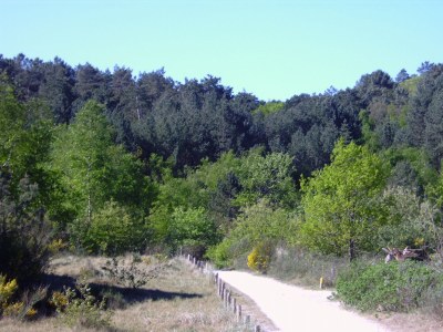 Holiday house Zijpersluis 32 - Environment photo 12