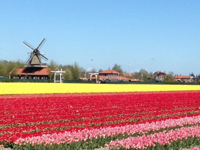 Holiday house Zijpersluis 32 - Environment photo 17