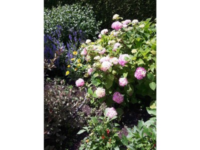 Holiday apartment Elfer - Outdoor photo 7