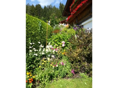 Holiday apartment Elfer - Outdoor photo 11