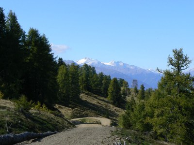 Holiday apartment MailÃ¤nderhof Type 1 - Environment photo 14