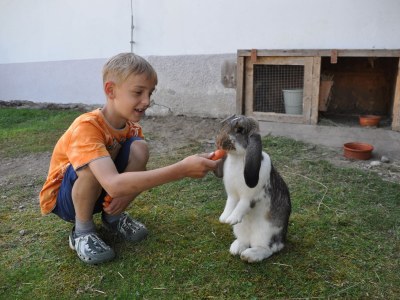 Holiday apartment MailÃ¤nderhof Type 2 - Outdoor photo 8