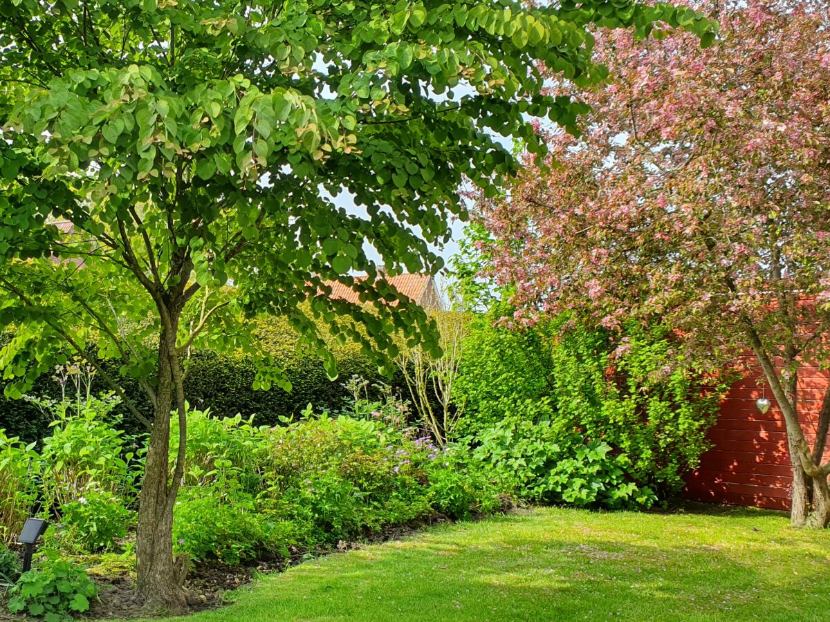 Holiday apartment Villa Garten, "Grüne Insel" - Outdoor photo 3