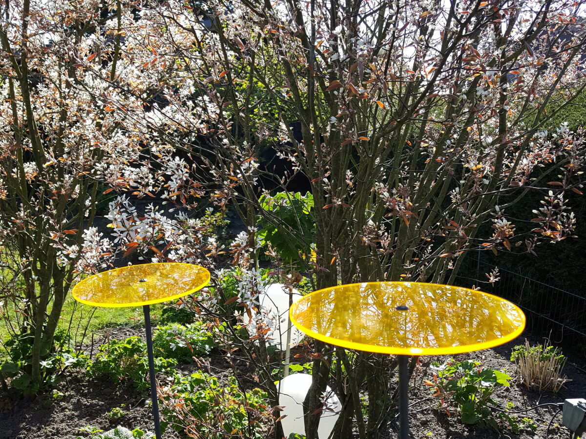 Holiday apartment Villa Garten, "Grüne Insel" - Outdoor photo 4