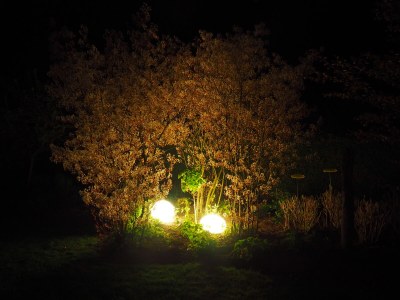 Holiday apartment Villa Garten, "Grüne Insel" - Outdoor photo 5