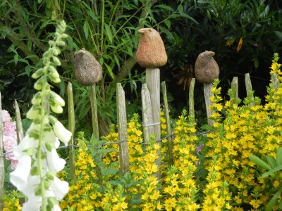 Holiday apartment Villa Garten, "Grüne Insel" - Outdoor photo 6