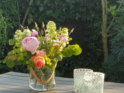 Holiday apartment Villa Garten, "Grüne Insel" - Outdoor photo 13