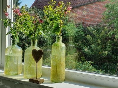 Holiday apartment Villa Garten, "Grüne Insel" - Features photo 21