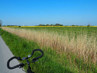 Holiday apartment Villa Garten, "Grüne Insel" - Environment photo 36