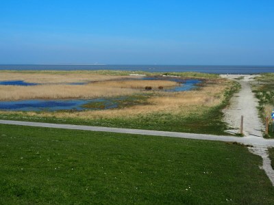 Holiday apartment Villa Garten, "Grüne Insel" - Environment photo 37