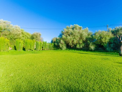 Finca Ines - Environment photo 57