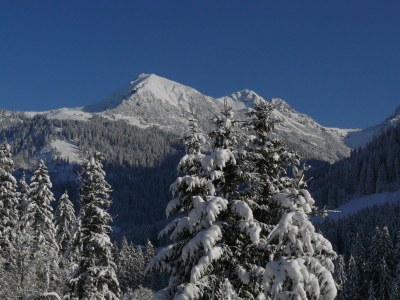 Holiday apartment BrÃ¼ckler - Environment photo 14