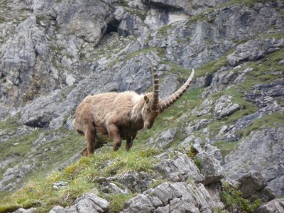 Holiday apartment BrÃ¼ckler - Environment photo 15
