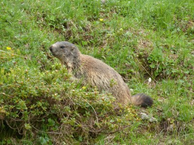Holiday apartment BrÃ¼ckler - Environment photo 16