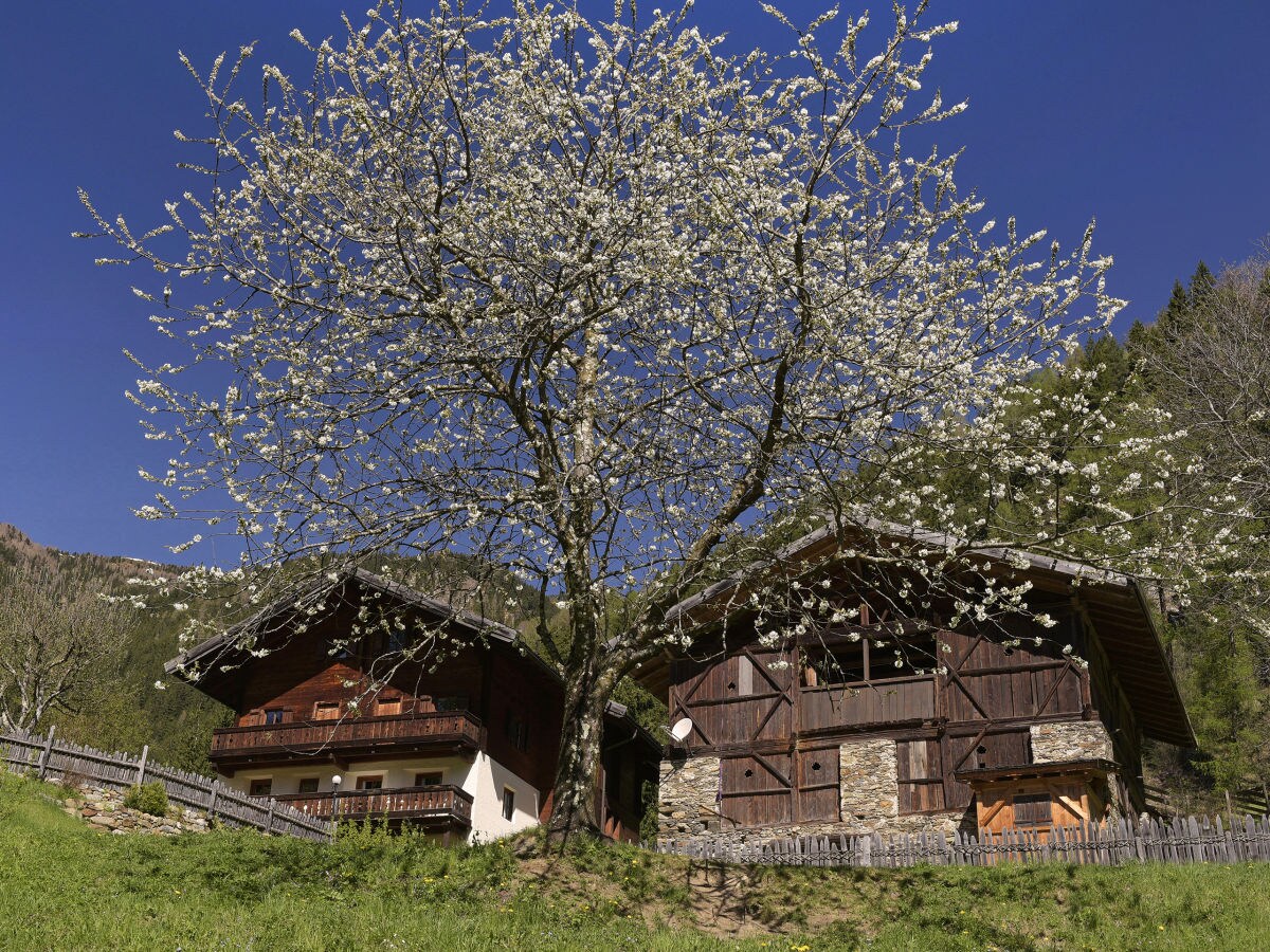 Holiday house Gruebhof - Outdoor photo 2