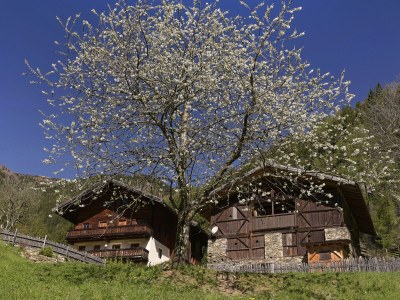 Holiday house Gruebhof - Outdoor photo 2