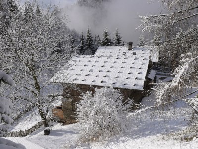 Holiday house Gruebhof - Outdoor photo 11