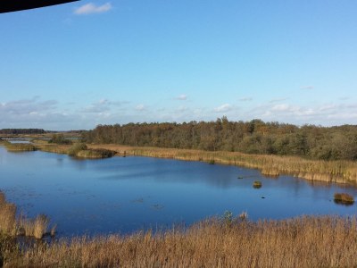 Holiday house “De Boerdrie” farmhouse - Environment photo 16