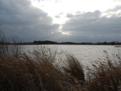Holiday house “De Boerdrie” farmhouse - Environment photo 19