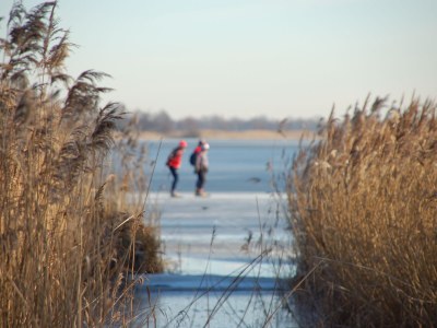 Holiday house “De Boerdrie” farmhouse - Environment photo 20