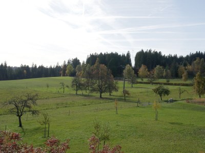 Holiday house Landhaus Seewald - Outdoor photo 9