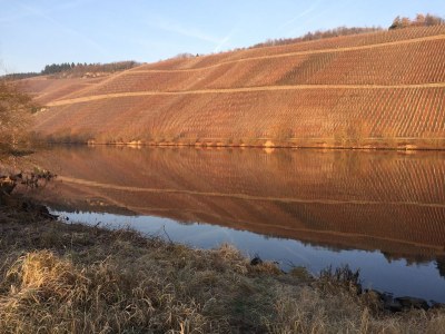 Holiday apartment Weisenstein - Environment photo 17