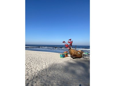 Holiday house Brandt - Outdoor photo 10