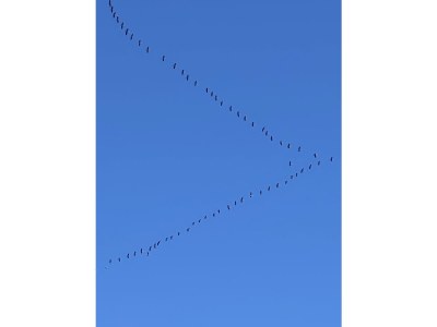 Holiday house Brandt - Outdoor photo 12