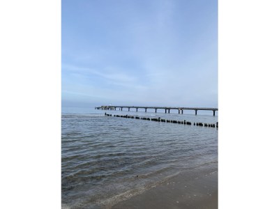 Holiday house Brandt - Outdoor photo 14