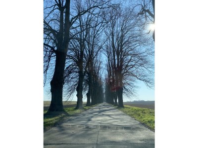 Holiday house Brandt - Outdoor photo 15