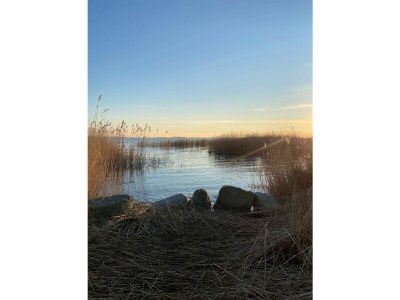 Holiday house Brandt - Outdoor photo 17