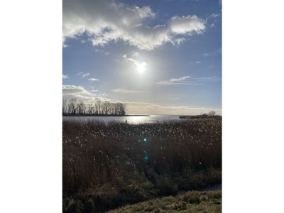 Holiday house Brandt - Outdoor photo 19