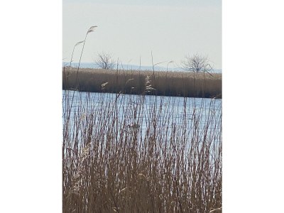 Holiday house Brandt - Environment photo 39