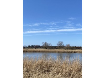 Holiday house Brandt - Environment photo 40