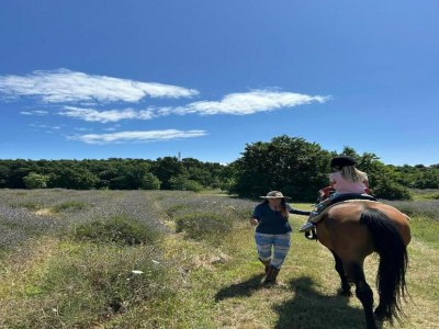 Apartment Apartment in Labin with Pool & Beach Nearby - Environment photo 37