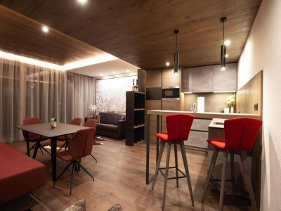 Apartment Apartment in Ischgl with sauna - Features photo 11