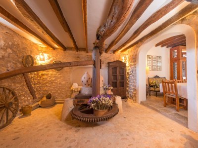 Finca Ses Planes - Features photo 34