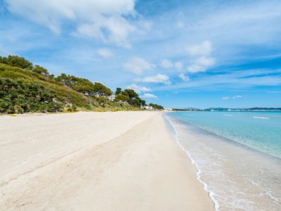 Finca Ses Planes - Environment photo 48