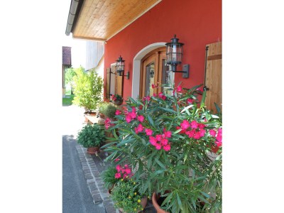 Holiday apartment Orchard at the Wurzerlhof - Outdoor photo 4