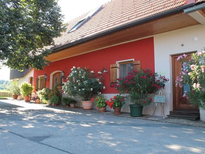Holiday apartment Orchard at the Wurzerlhof - Outdoor photo 10