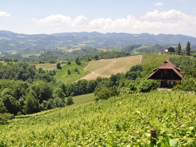 Holiday apartment Orchard at the Wurzerlhof - Environment photo 28