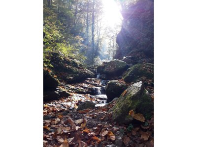 Holiday apartment Orchard at the Wurzerlhof - Environment photo 29