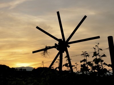 Holiday apartment Orchard at the Wurzerlhof - Environment photo 30
