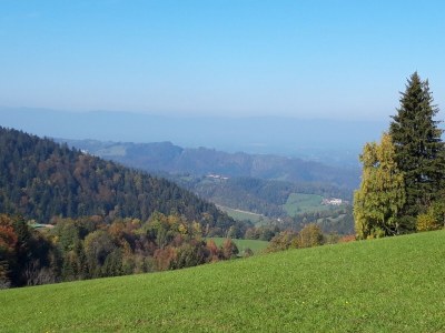Holiday apartment Orchard at the Wurzerlhof - Environment photo 31
