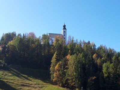 Holiday apartment Orchard at the Wurzerlhof - Environment photo 34
