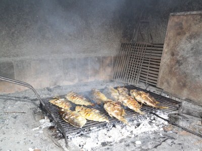 Apartment One bedroom apartment with terrace and sea view Cove Soline, Dugi otok A-448-e - Outdoor photo 10