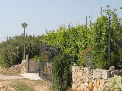 Holiday room with air-conditioning Cove Soline, Dugi otok S-448-a - Outdoor photo 8