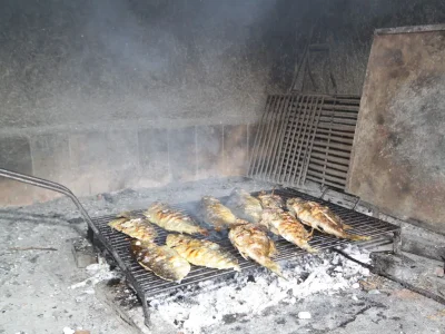 Holiday room with air-conditioning Cove Soline, Dugi otok S-448-a - Outdoor photo 10