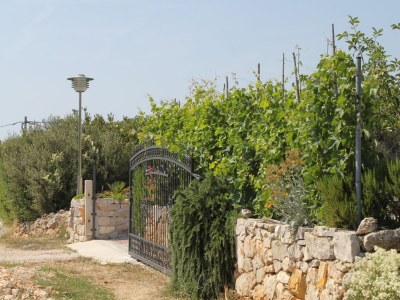 Holiday room with air-conditioning Cove Soline, Dugi otok S-448-b - Outdoor photo 8