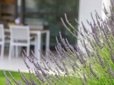 Apartment Two bedroom apartment with terrace Malinska, Krk A-21692-a - Outdoor photo 11